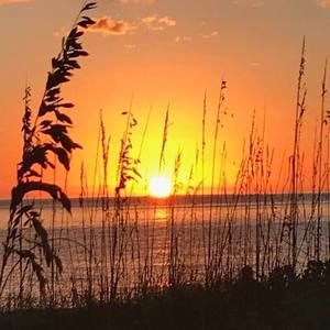 Meet your Posher, Sandy